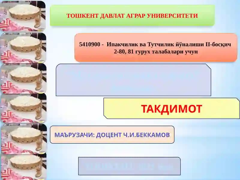 Ипакчилик ва Тутчилик йўналиши II-босқич