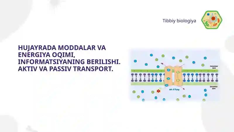 HUJAYRADA MODDALAR VA ENERGIYA OQIMI, INFORMATSIYANING BERILISHI