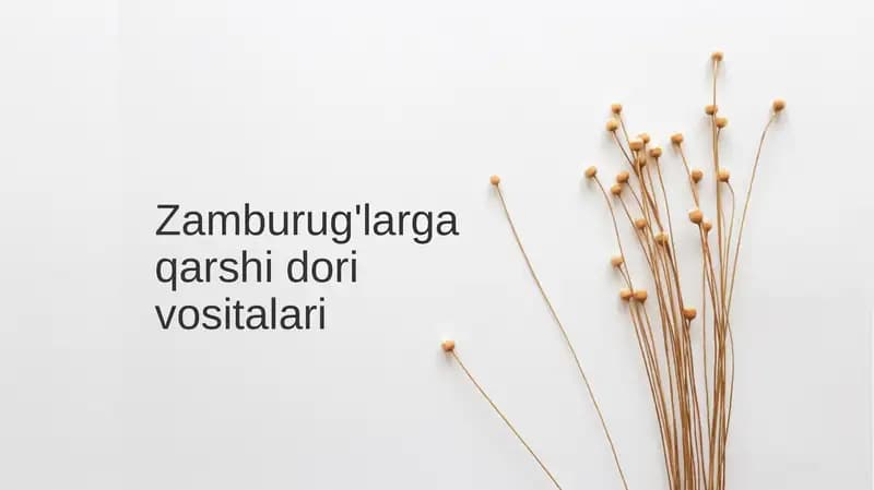 Zamburug'larga qarshi dorilarni vositalari