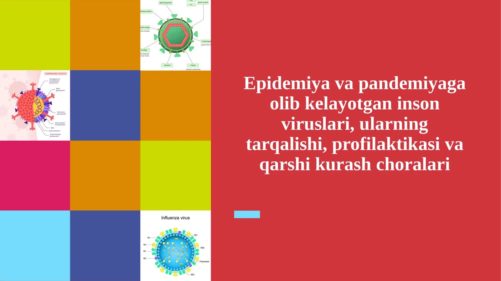 Epidemiya va pandemiyaga olib kelayotgan inson viruslari, ularning tarqalishi, profil