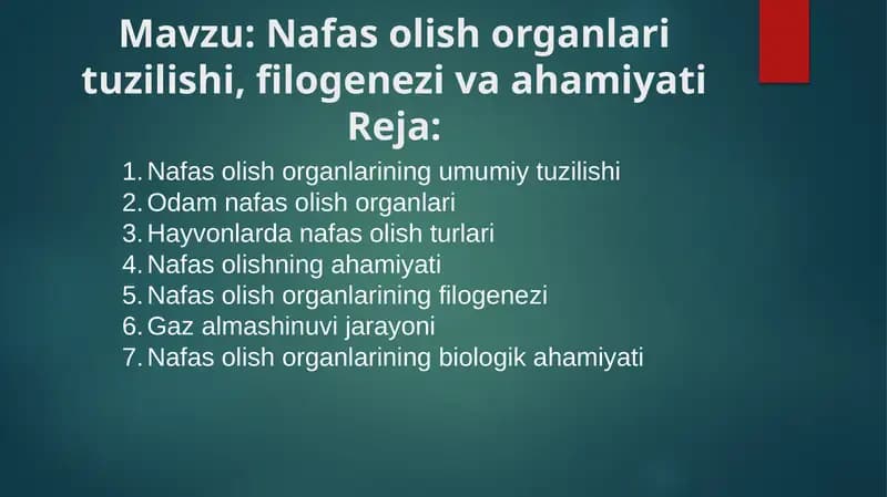 Nafas olish organlari tuzilishi, filogenezi va ahamiyati