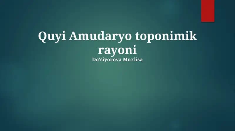 Quyi Amudaryo toponimik rayoni