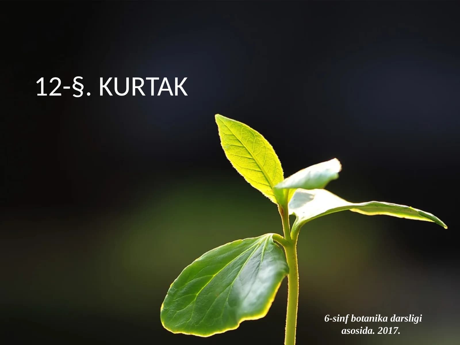 6-sinf Botanika Kurtak