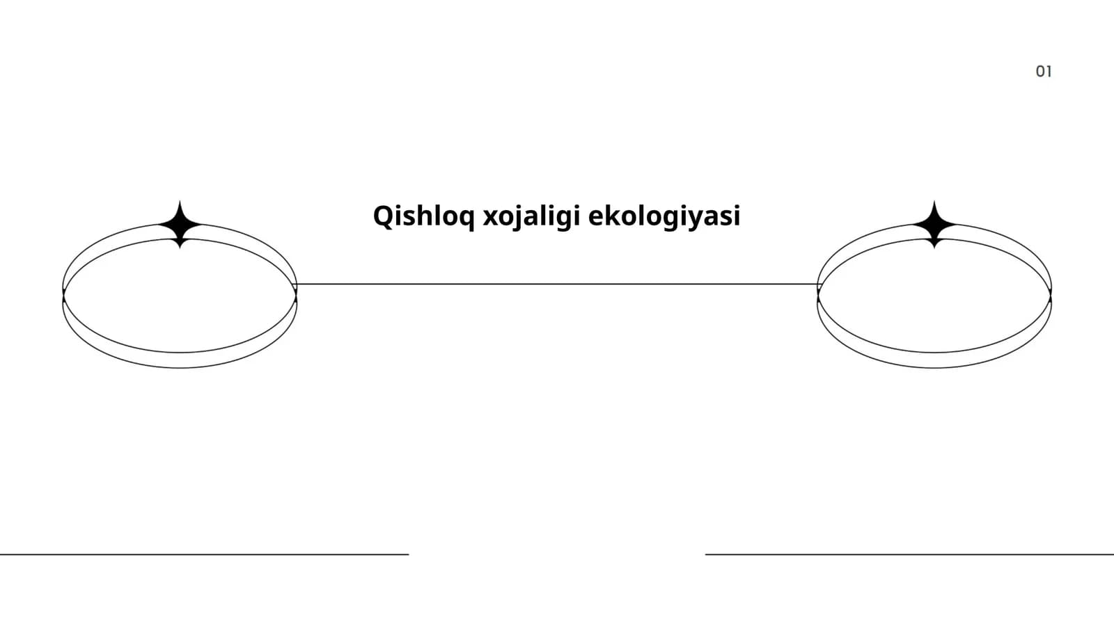 Qishloq xojaligi ekologiyasi