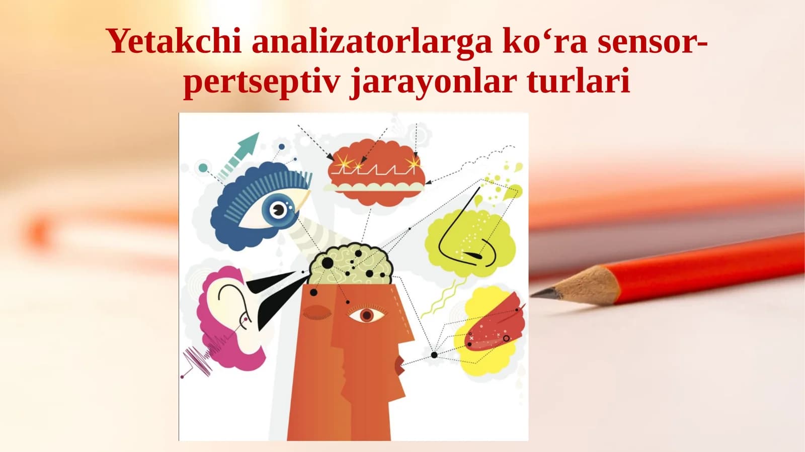 Yetakchi analizatorlarga ko‘ra sensor-pertseptiv jarayonlar turlari.