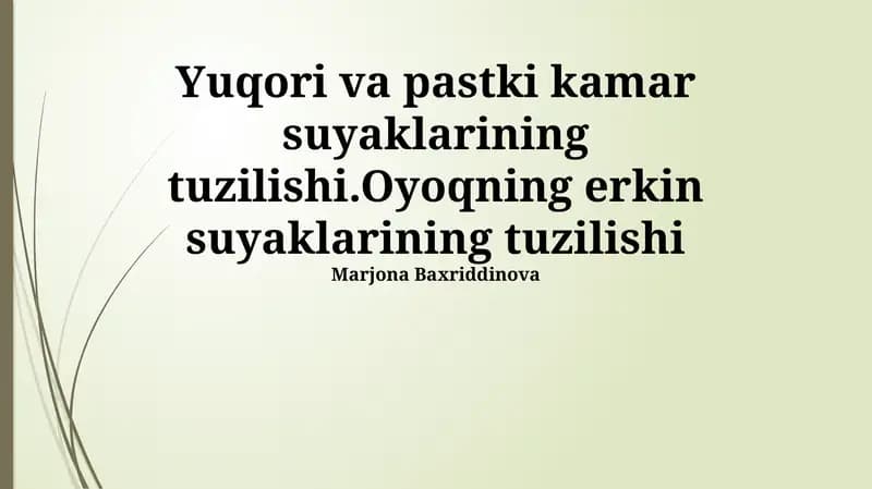 Yuqori va pastki kamar suyaklarining tuzilishi