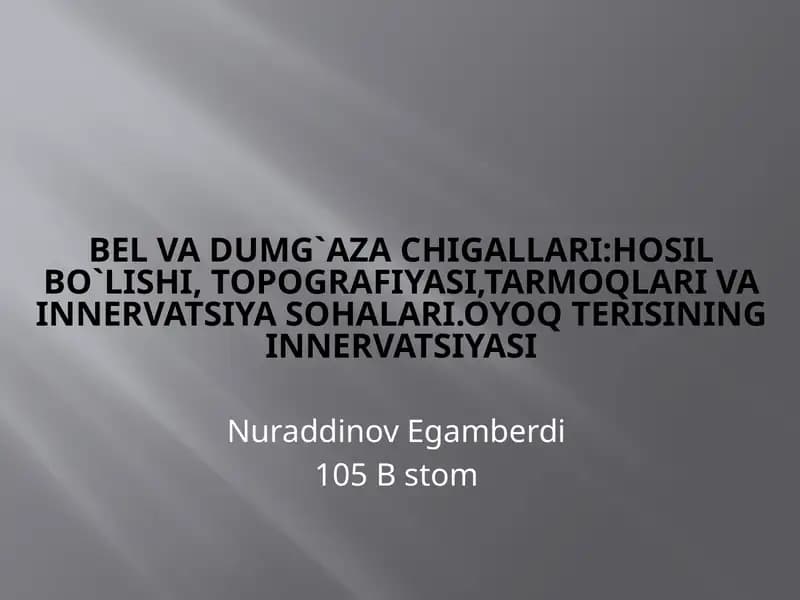 Belvadumg`azachigallari:hosilbo`lishi,topografiyasi,tarmoqlarivainnervatsiyasohalari.Oyoqterisininginnervatsiyasi