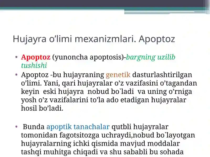Apoptoz