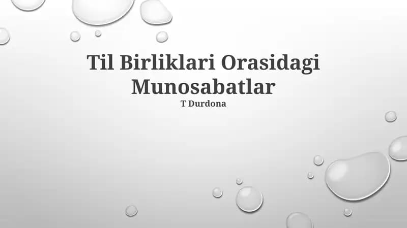 Til Birliklari Orasidagi Munosabatlar