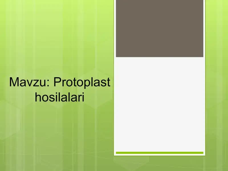 Protoplast hosilalari