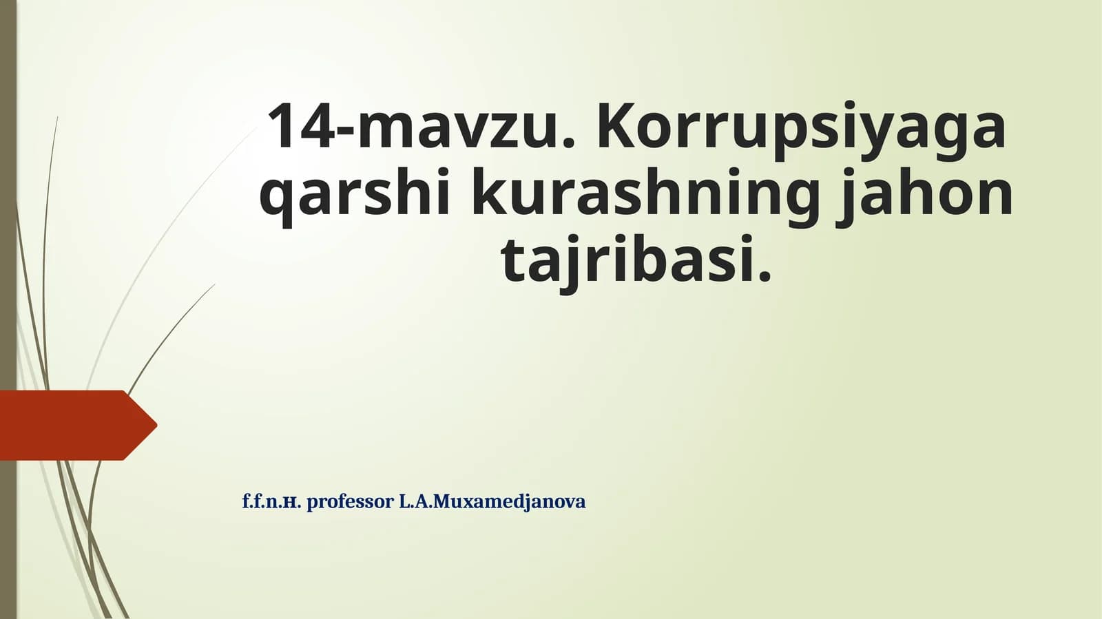 14-mavzu.Korrupsiyagaqarshikurashningjahontajribasi
