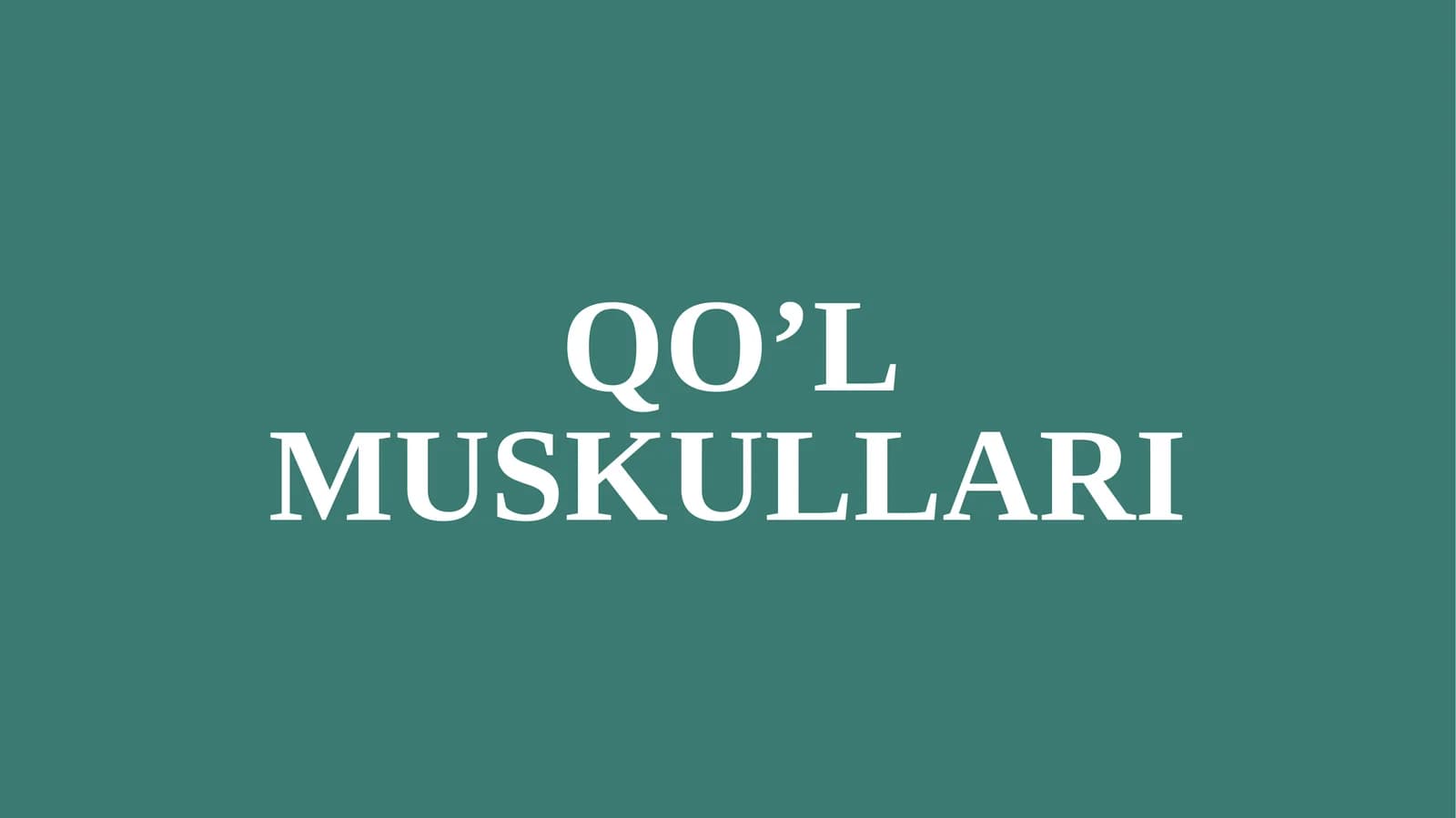 QO’L MUSKULLARI