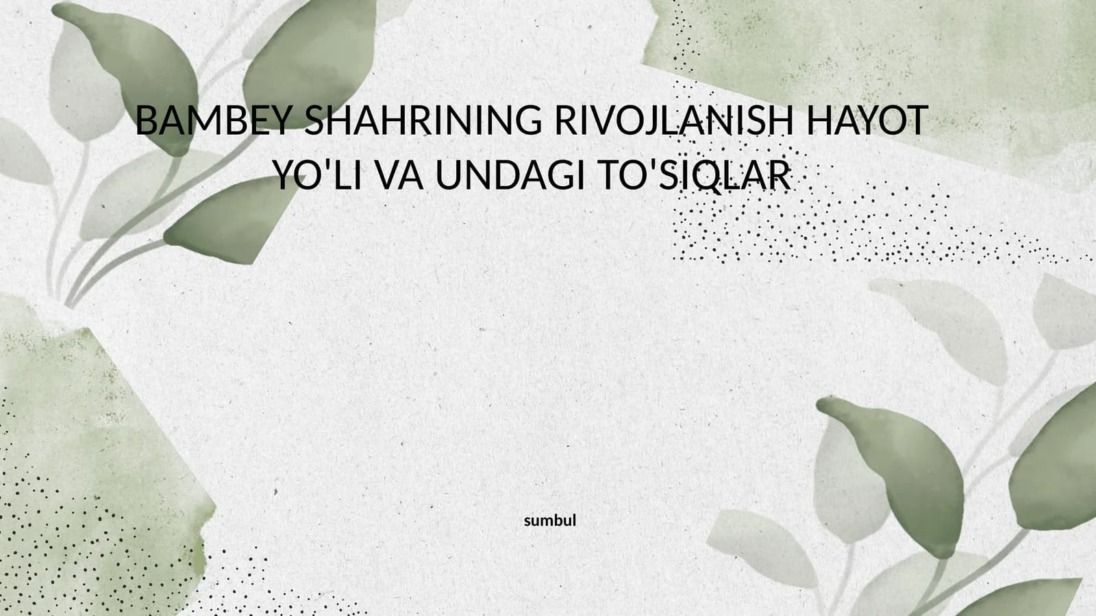 BAMBEY SHAHRINING RIVOJLANISH HAYOT YO'LI VA UNDAGI TO'SIQLAR