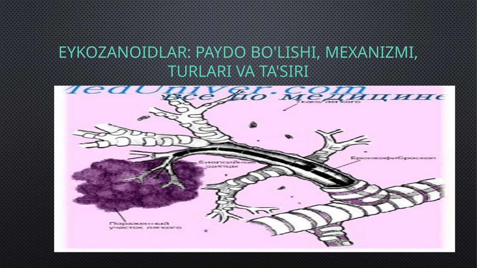 Eykozanoidlar: Paydo Bo'lishi, Mexanizmi, Turlari va Ta'siri