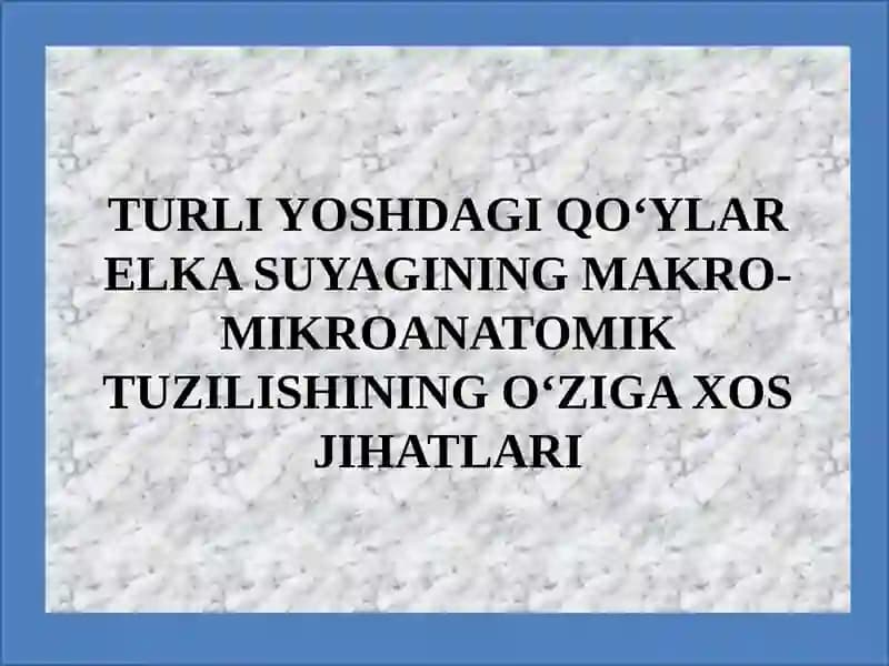 TURLI YOSHDAGI QO‘YLAR ELKA SUYAGINING MAKRO-MIKROANATOMIK TUZILISHINING O‘ZIGA XOS JIHATLARI