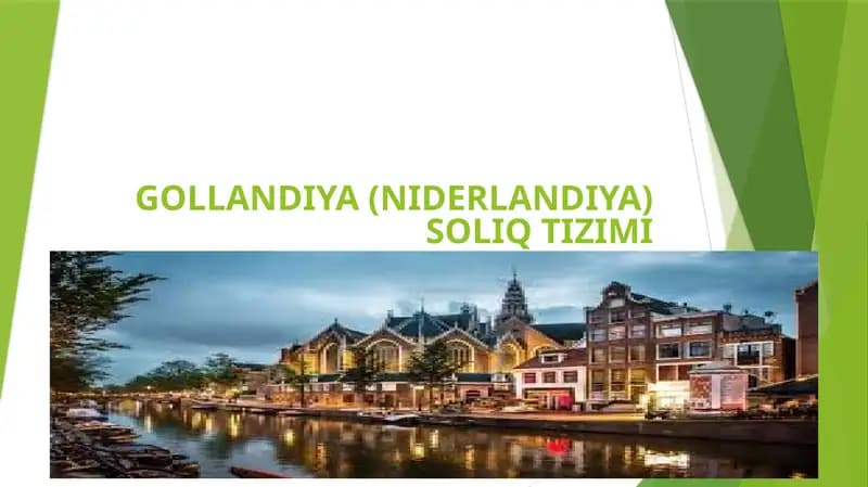 Gollandiya (Niderlandiya) Soliq Tizimi