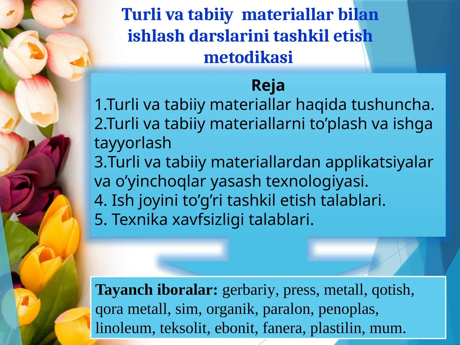 Turlivatabiiymateriallar bilan ishlash darslarini tashkil etish metodikasi