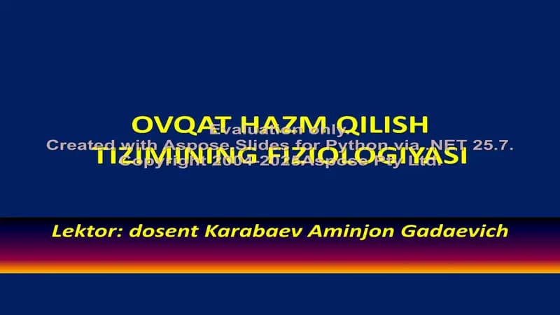 Ovqat Hazm Qilish Tizimining Fiziologiyasi