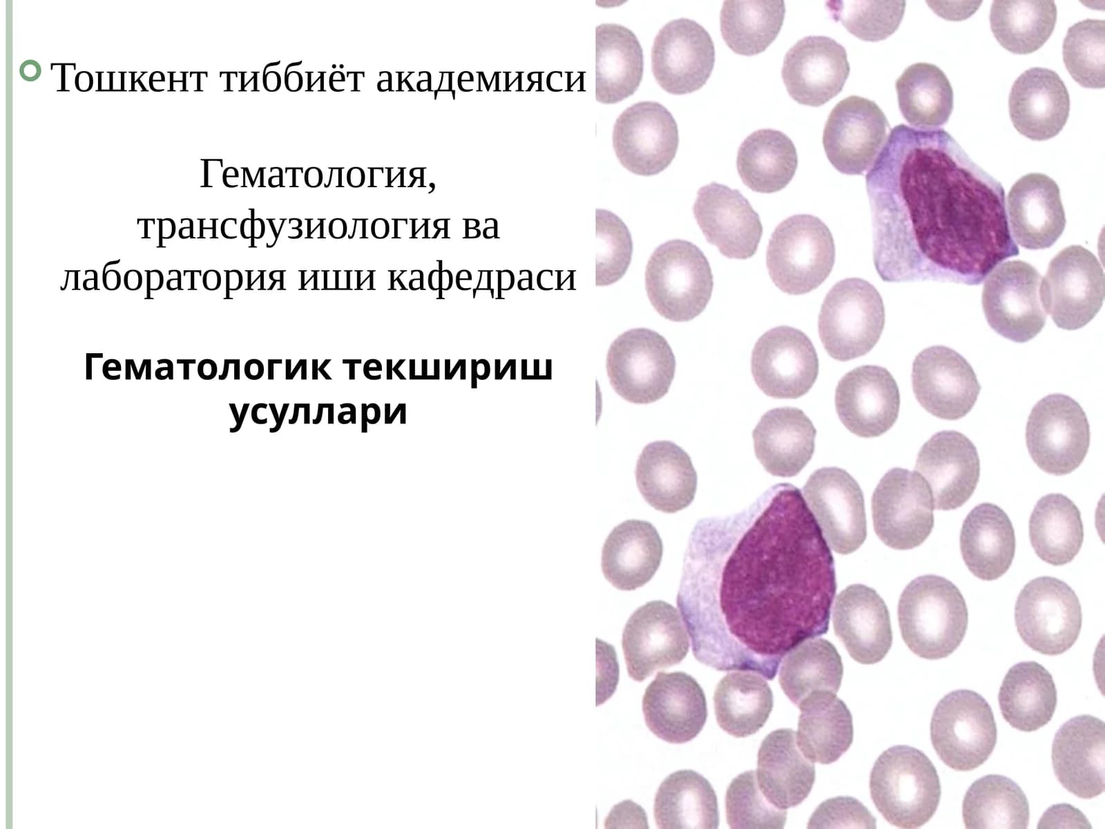 Гематология, трансфузиология ва лаборатория иши