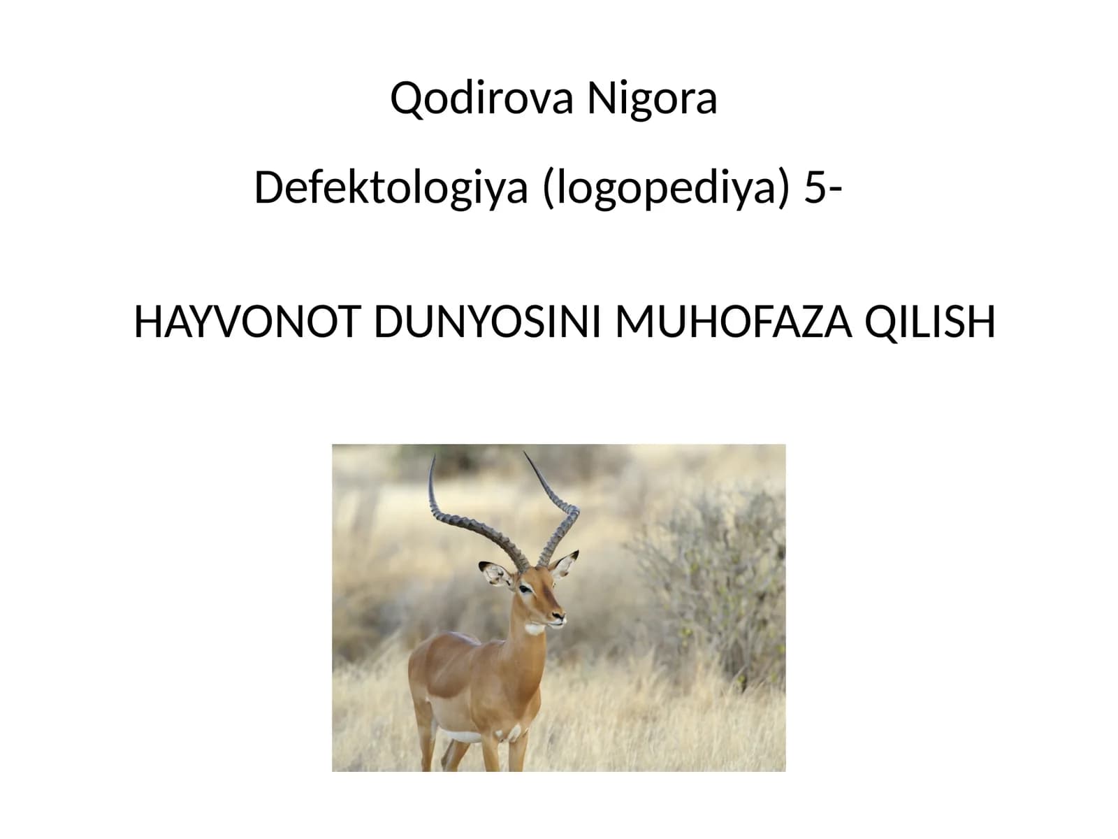 Hayvonot dunyosini muhofaza qilish