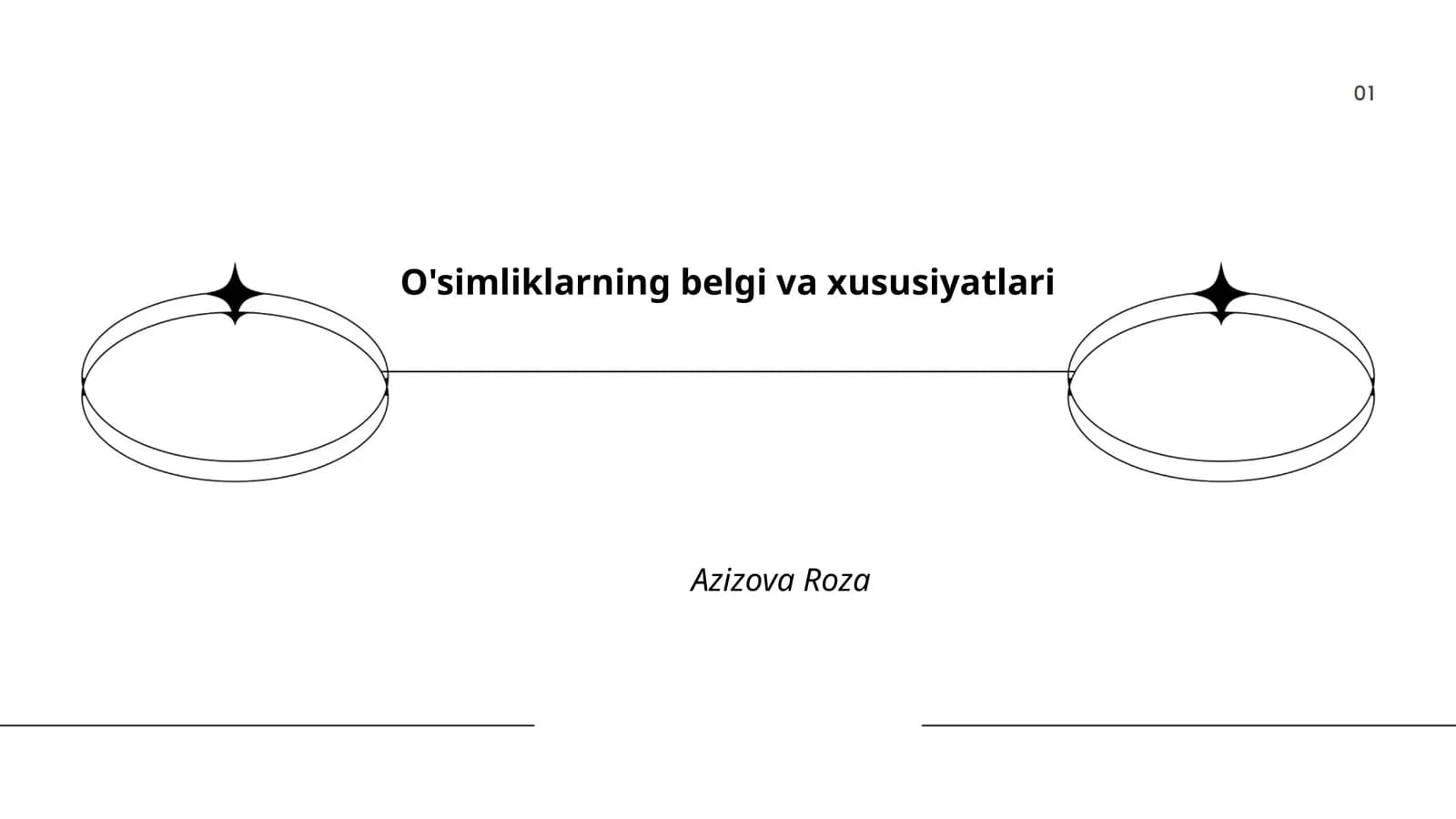 O'simliklarning belgi va xususiyatlari
