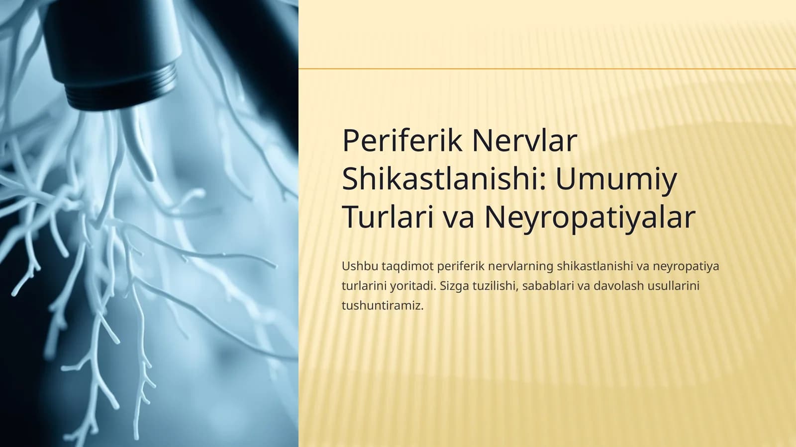Periferik Nervlar Shikastlanishi: Umumiy Turlari va Neyropatiyalar