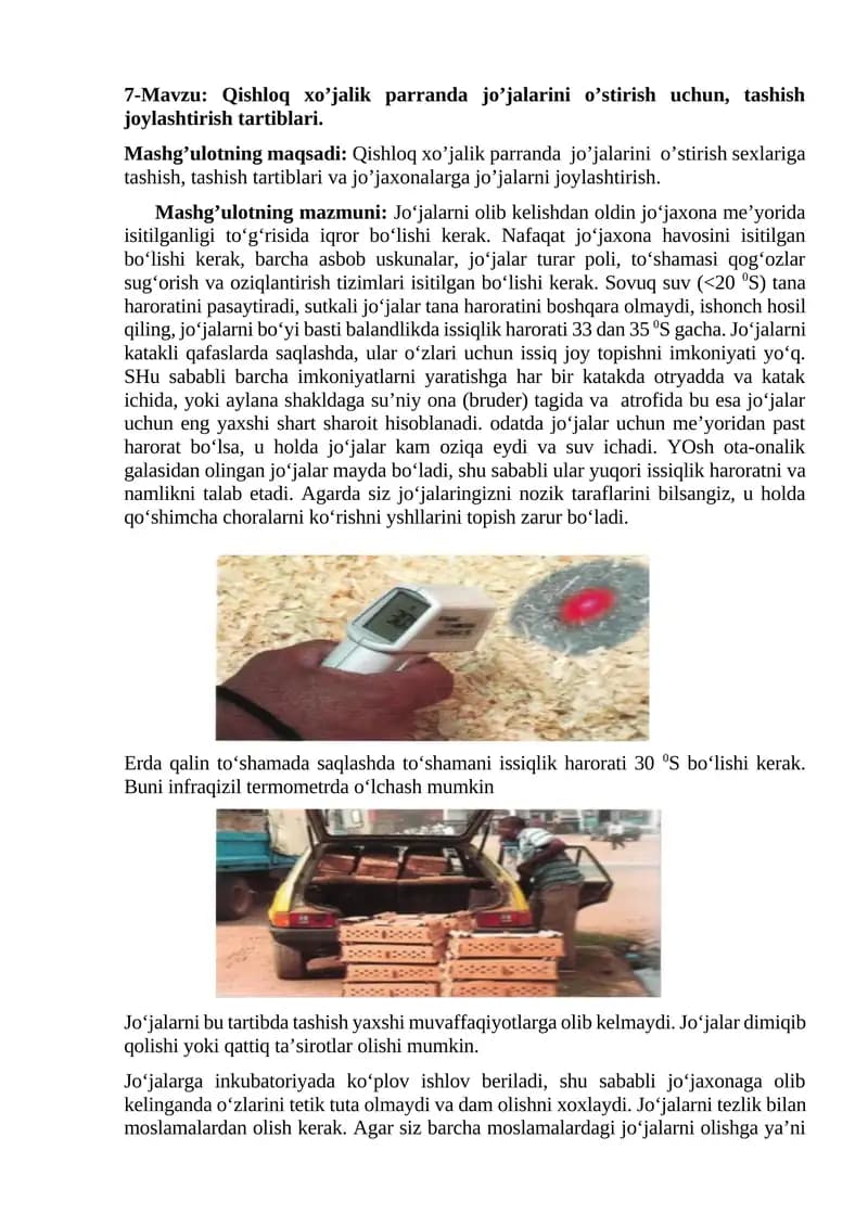 Qishloq xoʻjalik parranda joʻjalarini oʻstirish