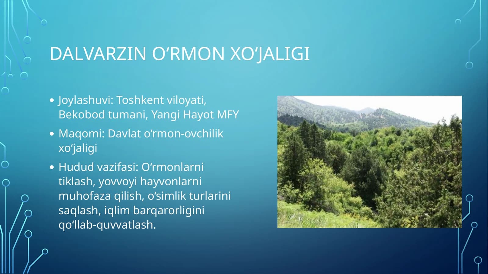 Toshkent viloyati Bekobod tumani EKOTURIZMI