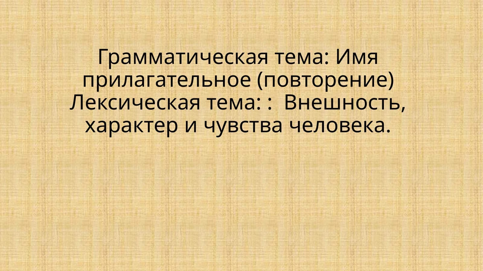 Имя прилагательное в русском языке