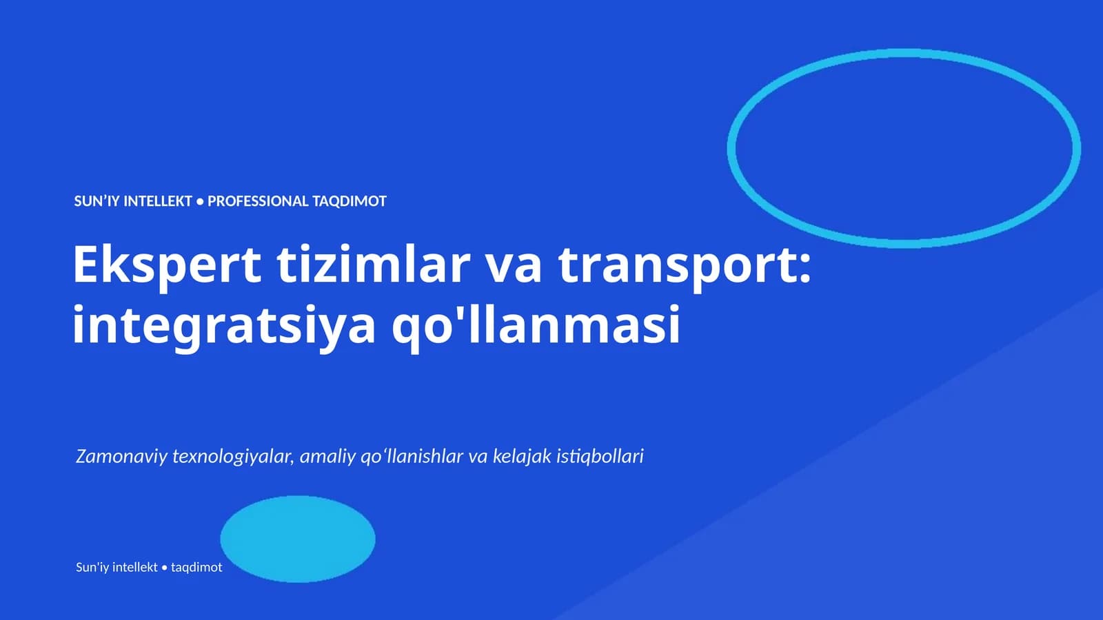 Ekspert tizimlar va transport: integratsiya qo'llanmasi