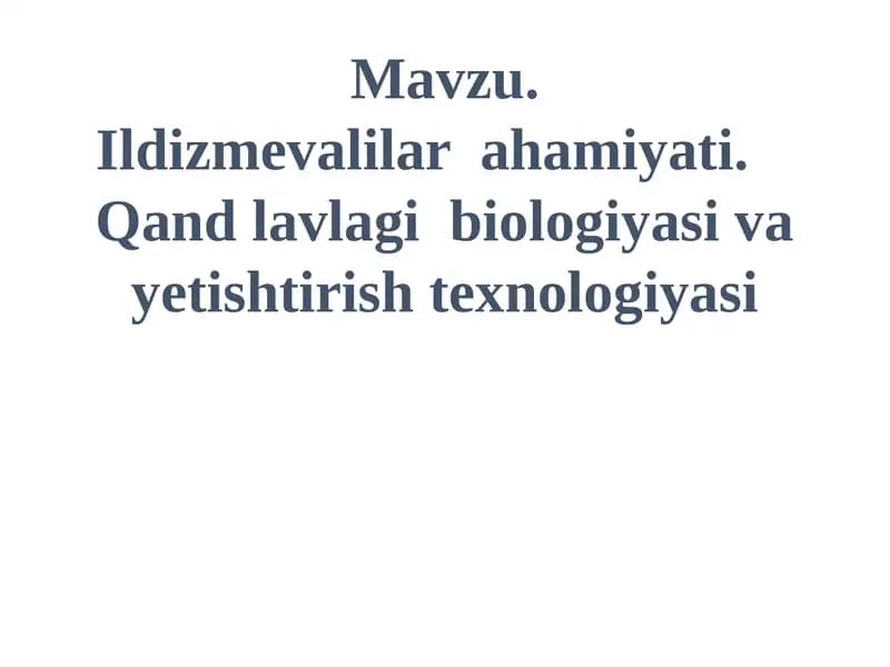 Ildizmevalilar ahamiyati
