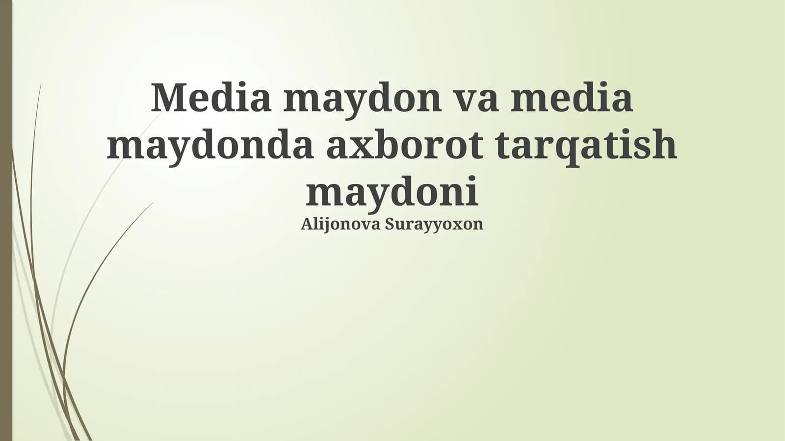 Ommaviy axborot vositalari maydoni