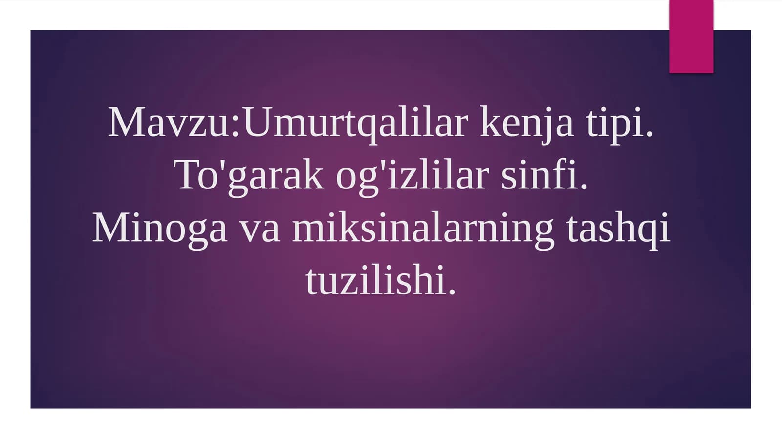 Umurtqalilar kenja tipi