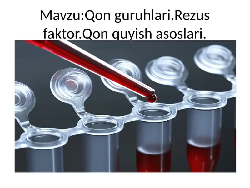 Qon guruhlari
