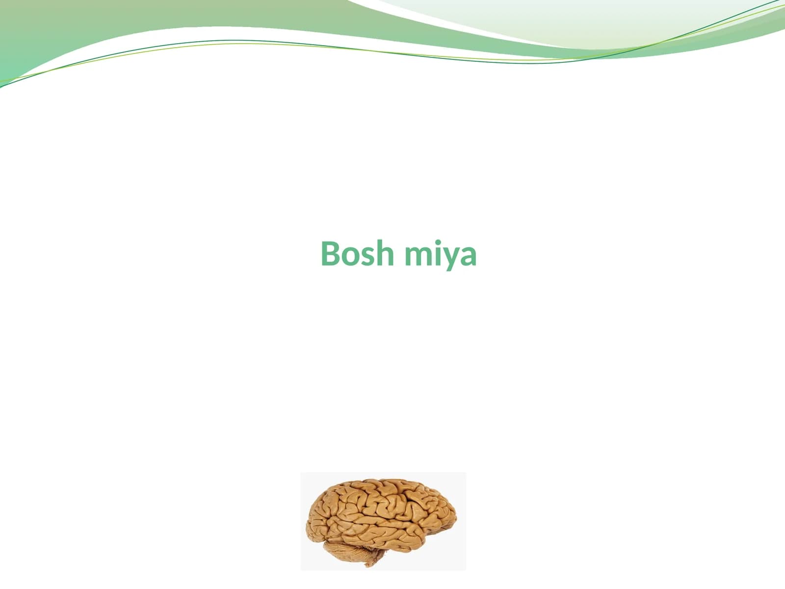 Boshmiya