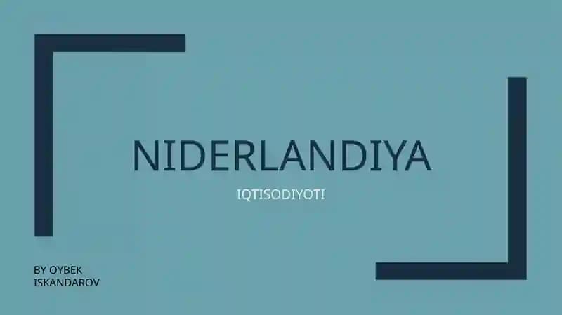 NIDERLANDIYA IQTISODIYOTI