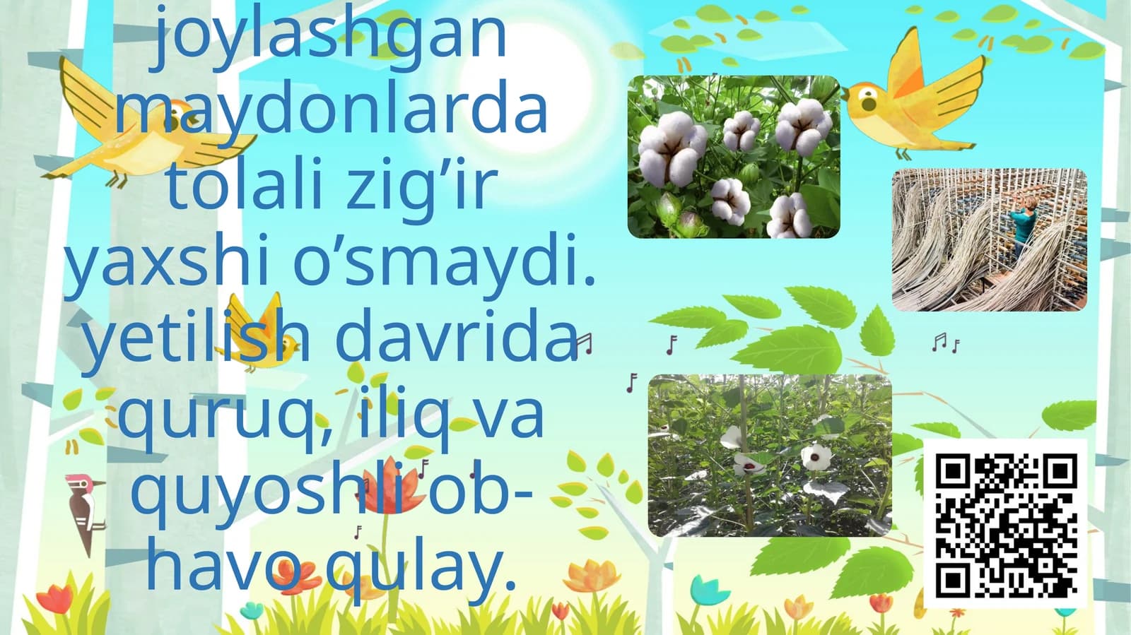 Tolali ekinlar