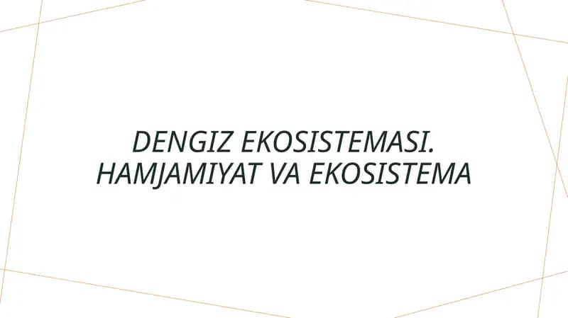 Dengizekosistemasi.Hamjamiyatvaekosistema