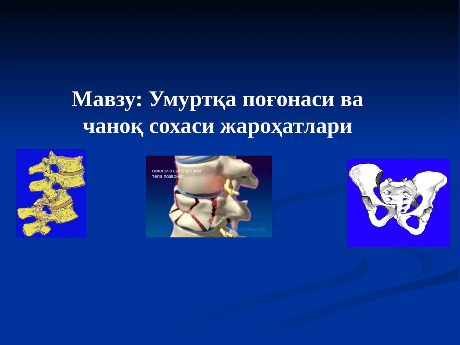 Умуртқа поғонаси ва чаноқ сохаси жароҳатлари