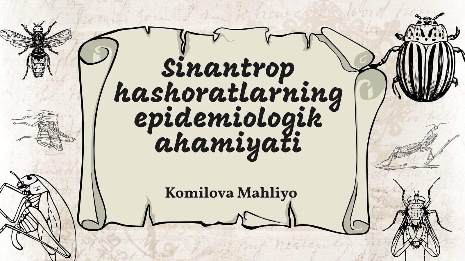 Sinantrop hashoratlarning epidemiologik ahamiyati