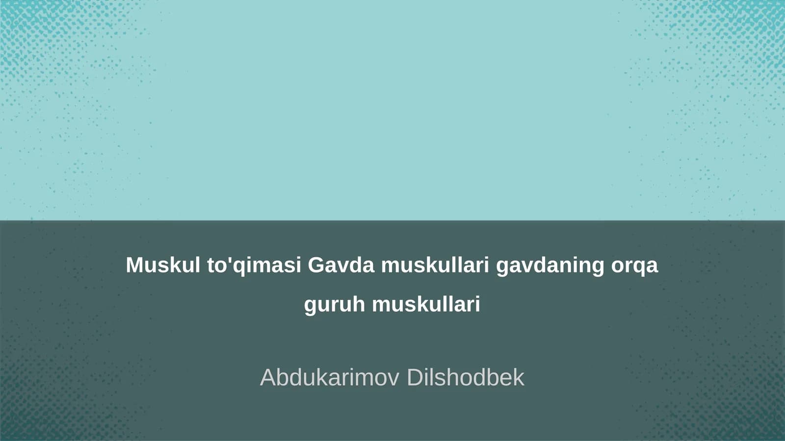 Muskul to'qimasi Gavda muskullari gavdaning orqa guruh muskullari