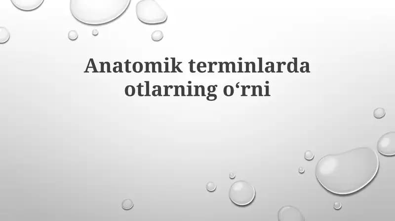 Anatomik terminlarda otlarning oʻrni