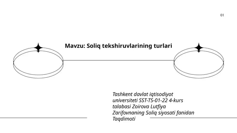 Soliq tekshiruvlarining turlari