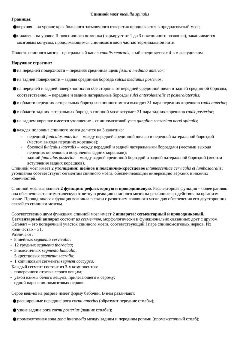 Спинной мозг medulla spinalis