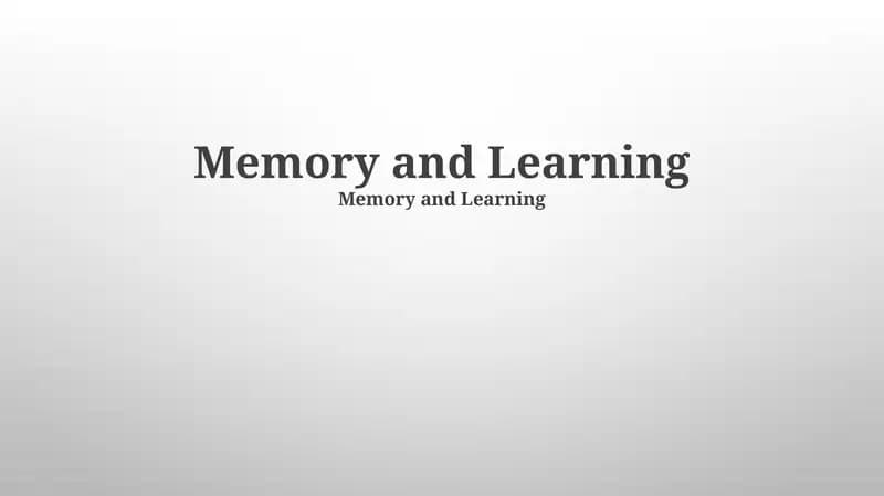 Memory Improvement Techniques