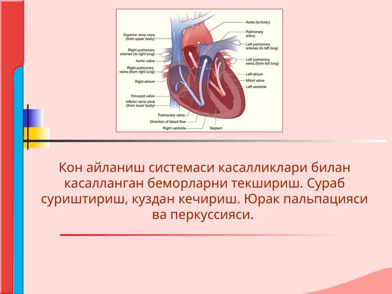 Кон айланиш системаси касалликлари