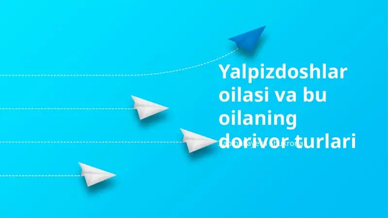 Yalpizdoshlar oilasi va bu oilaning dorivor turlari