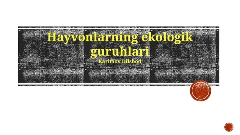 Hayvonlarning ekologik guruhlari