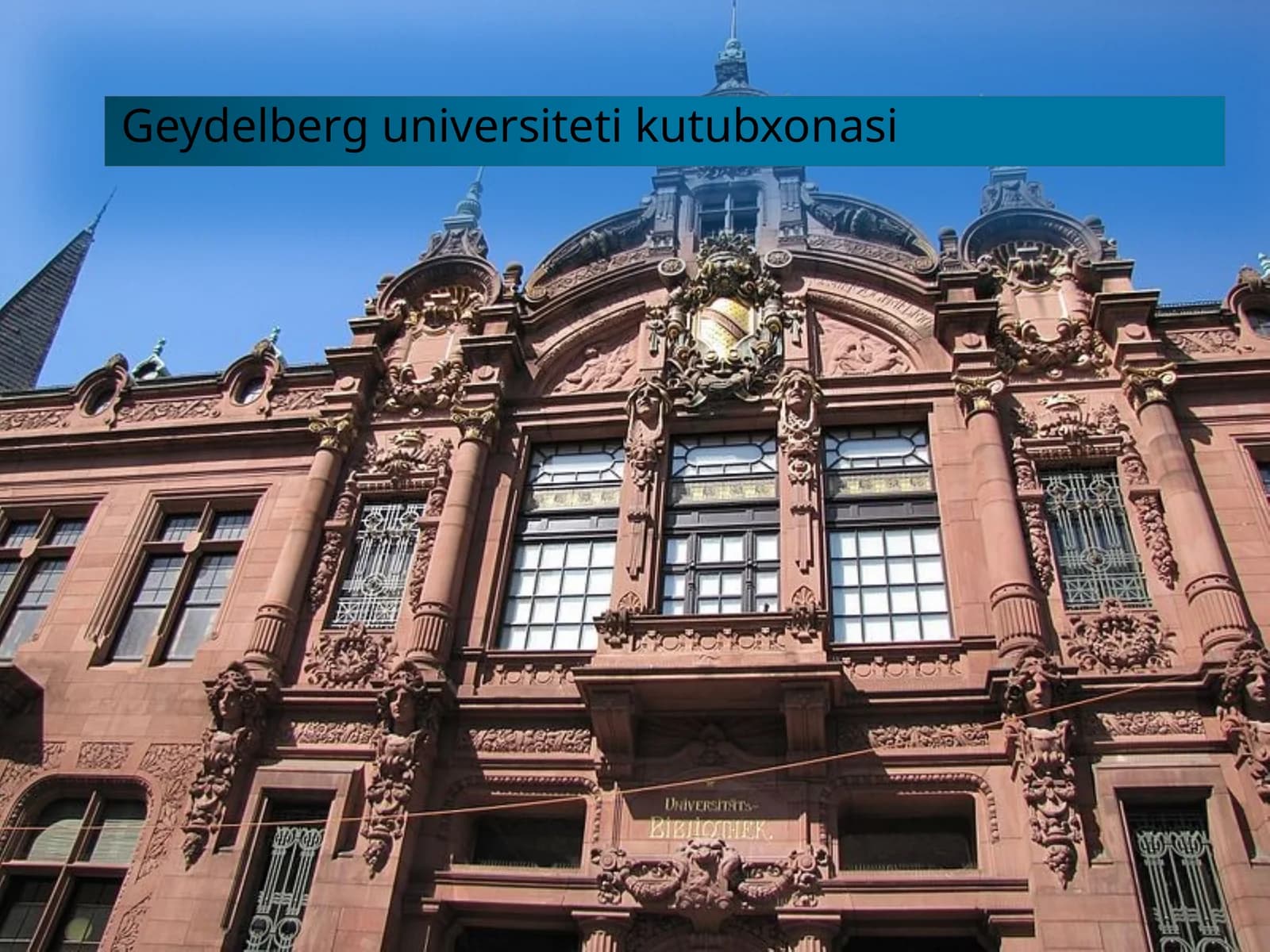 Geydelberg universiteti kutubxonasi