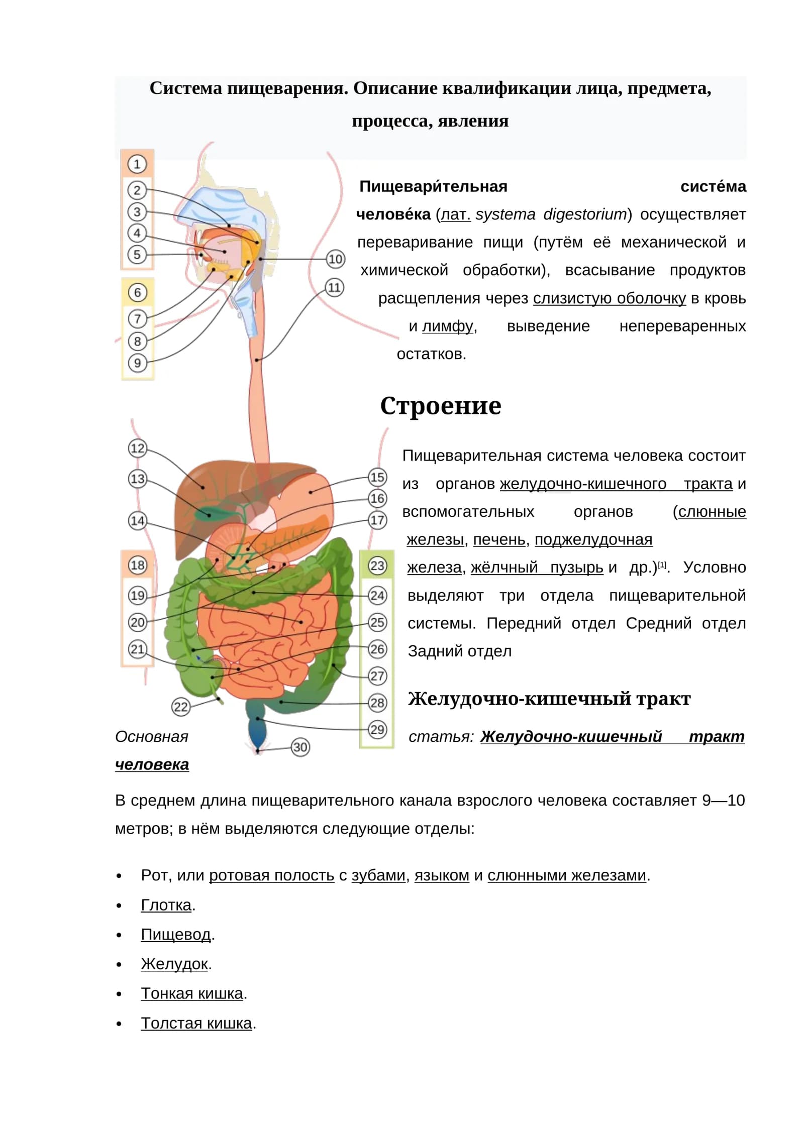 Пищевари́тельная систе́ма